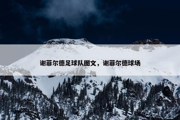 谢菲尔德足球队图文，谢菲尔德球场