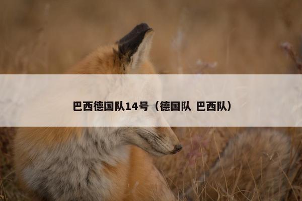 巴西德国队14号（德国队 巴西队）