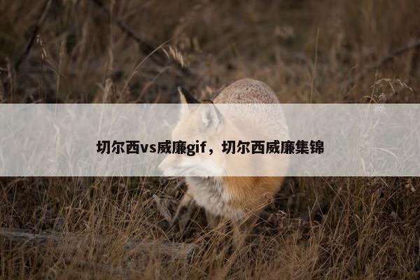 切尔西vs威廉gif，切尔西威廉集锦