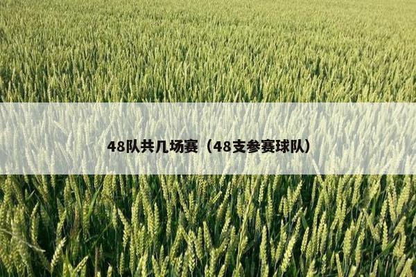 48队共几场赛（48支参赛球队）