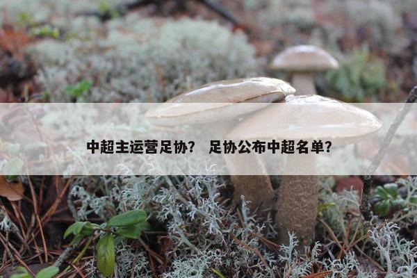 中超主运营足协？ 足协公布中超名单？