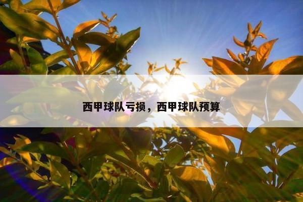 西甲球队亏损，西甲球队预算