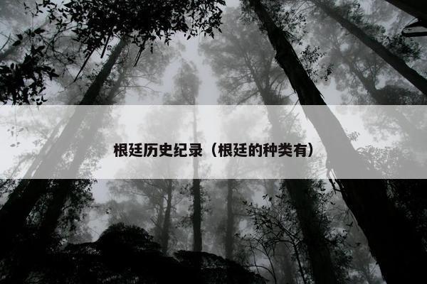 根廷历史纪录（根廷的种类有）
