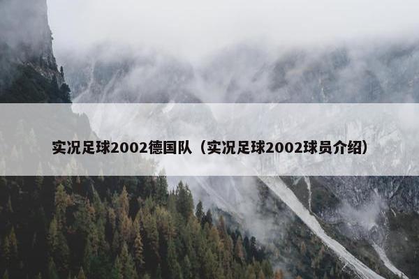 实况足球2002德国队（实况足球2002球员介绍）