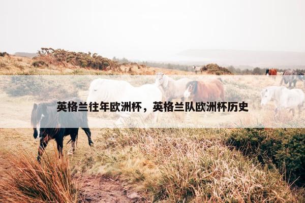 英格兰往年欧洲杯，英格兰队欧洲杯历史