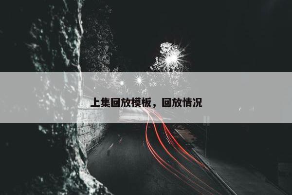 上集回放模板，回放情况