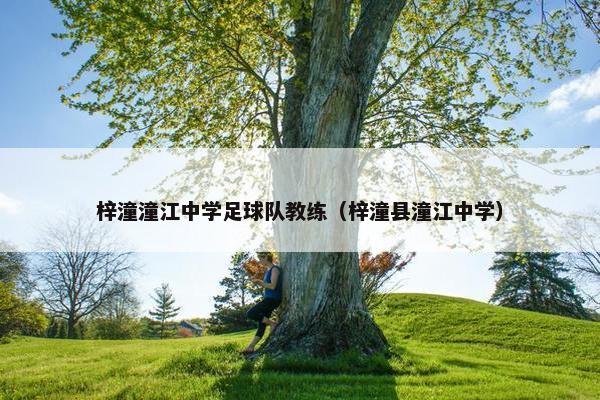 梓潼潼江中学足球队教练（梓潼县潼江中学）