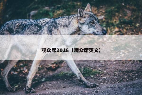 观众席2018（观众席英文）