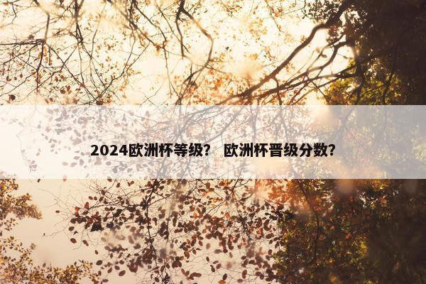 2024欧洲杯等级？ 欧洲杯晋级分数？