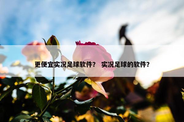 更便宜实况足球软件？ 实况足球的软件？