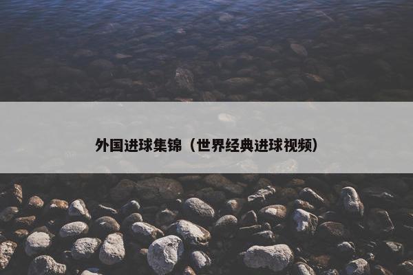 外国进球集锦（世界经典进球视频）