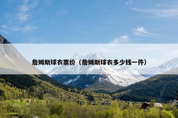 詹姆斯球衣票价（詹姆斯球衣多少钱一件）