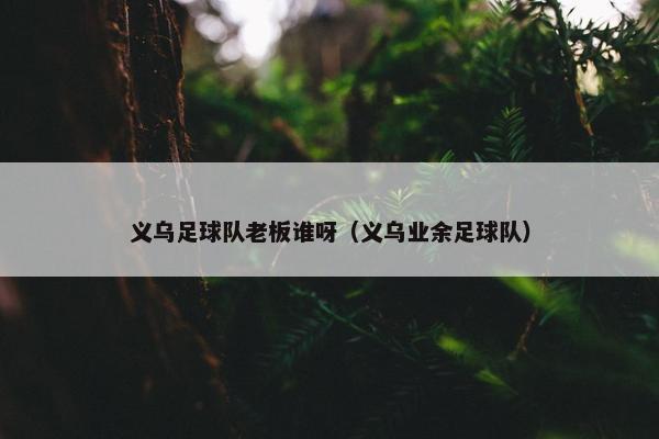 义乌足球队老板谁呀（义乌业余足球队）