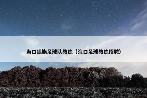 海口狼族足球队教练（海口足球教练招聘）