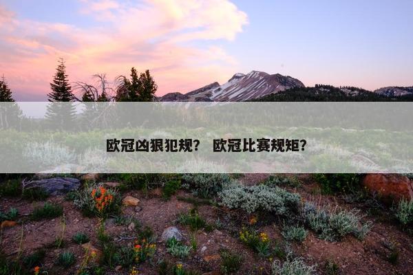 欧冠凶狠犯规？ 欧冠比赛规矩？