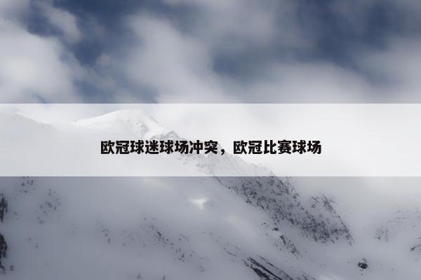 欧冠球迷球场冲突，欧冠比赛球场