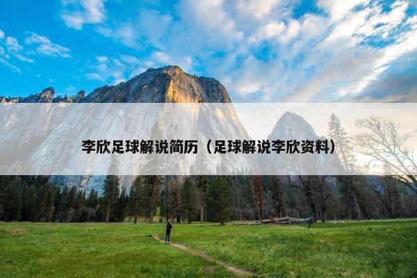 李欣足球解说简历（足球解说李欣资料）