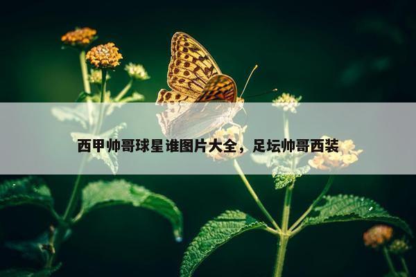 西甲帅哥球星谁图片大全，足坛帅哥西装