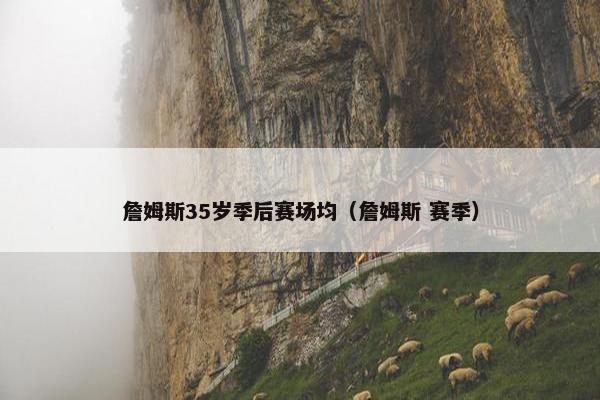 詹姆斯35岁季后赛场均（詹姆斯 赛季）