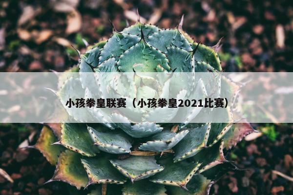 小孩拳皇联赛（小孩拳皇2021比赛）