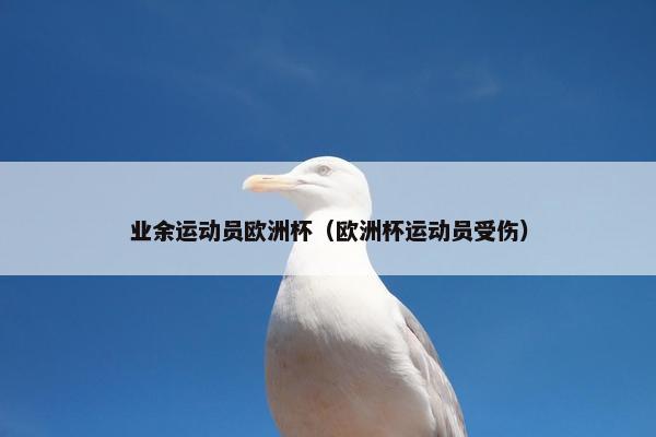业余运动员欧洲杯（欧洲杯运动员受伤）