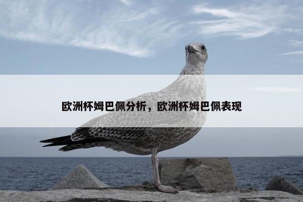欧洲杯姆巴佩分析，欧洲杯姆巴佩表现