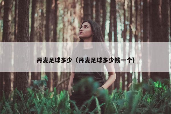 丹麦足球多少（丹麦足球多少钱一个）