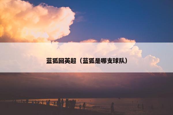 蓝狐回英超（蓝狐是哪支球队）