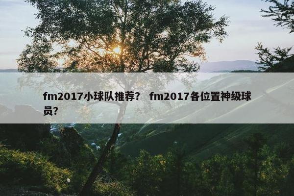 fm2017小球队推荐？ fm2017各位置神级球员？