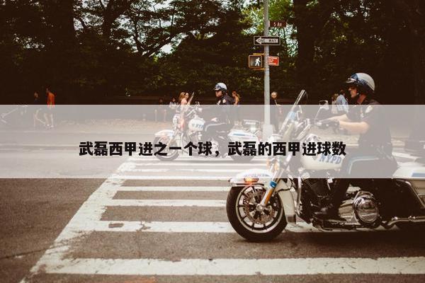 武磊西甲进之一个球，武磊的西甲进球数