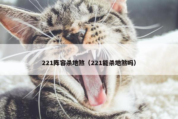 221阵容杀地煞（221能杀地煞吗）
