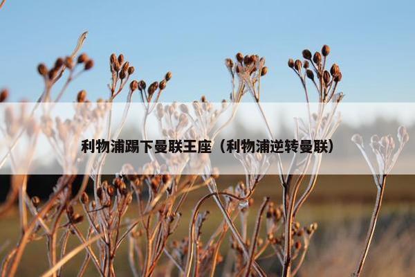 利物浦踢下曼联王座（利物浦逆转曼联）