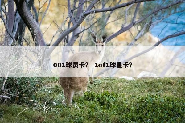001球员卡？ 1of1球星卡？