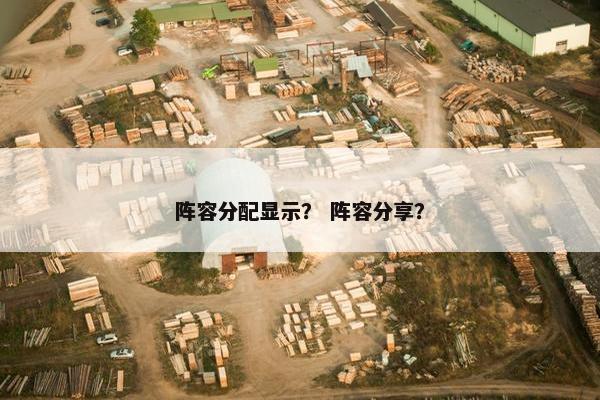 阵容分配显示？ 阵容分享？