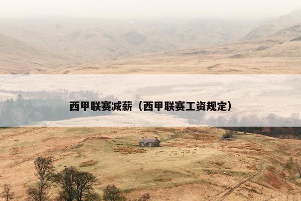 西甲联赛减薪（西甲联赛工资规定）