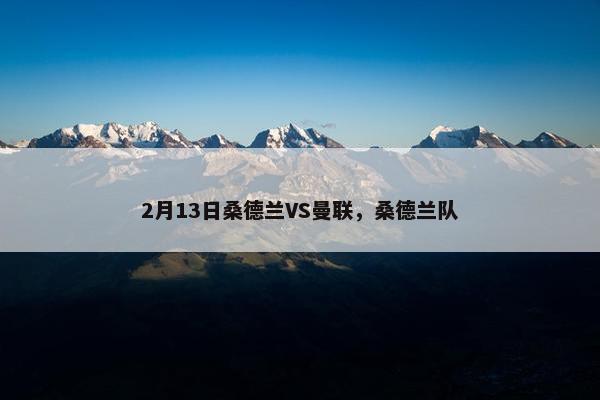 2月13日桑德兰VS曼联，桑德兰队