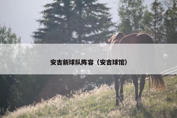 安吉新球队阵容（安吉球馆）