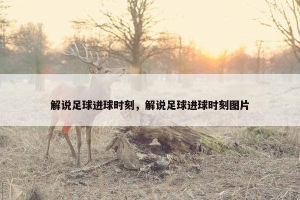 解说足球进球时刻，解说足球进球时刻图片