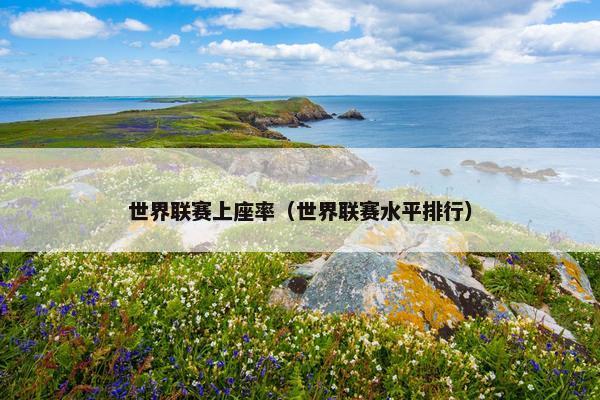 世界联赛上座率（世界联赛水平排行）