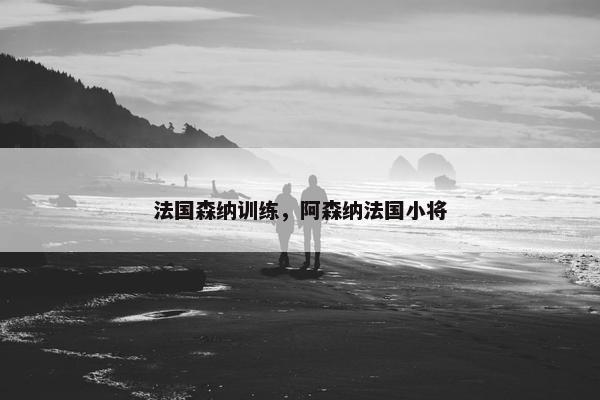 法国森纳训练，阿森纳法国小将