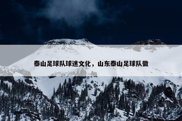 泰山足球队球迷文化，山东泰山足球队徽