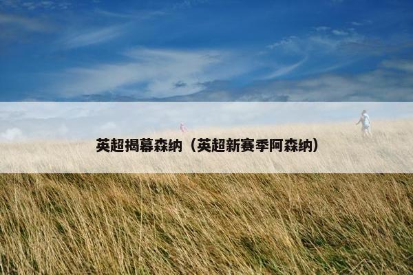 英超揭幕森纳（英超新赛季阿森纳）