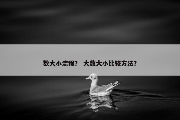 数大小流程？ 大数大小比较方法？