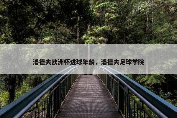 潘德夫欧洲杯进球年龄，潘德夫足球学院