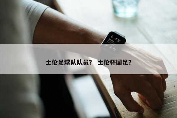 土伦足球队队员？ 土伦杯国足？