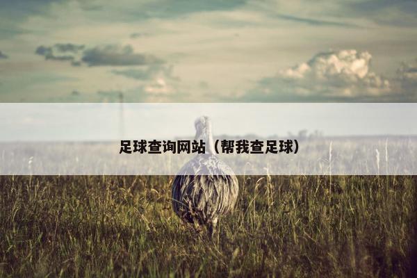 足球查询网站（帮我查足球）