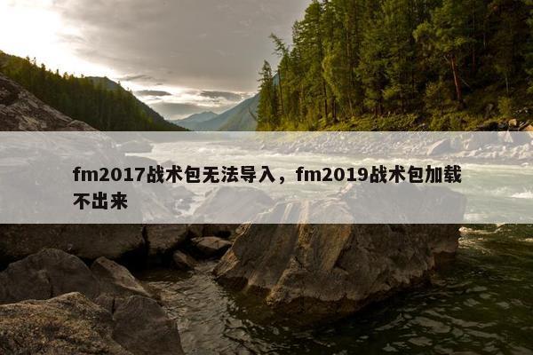 fm2017战术包无法导入，fm2019战术包加载不出来