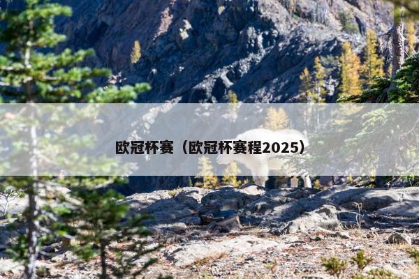 欧冠杯赛（欧冠杯赛程2025）