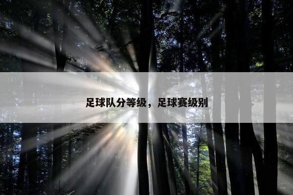 足球队分等级，足球赛级别