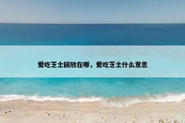 爱吃芝士回放在哪，爱吃芝士什么意思